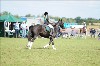 UKPA NC SAT_2507